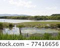 Wetlands in Koyaike, Itami City, Hyogo Prefecture 77416656