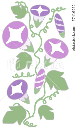 Morning glory cartoon 77416932