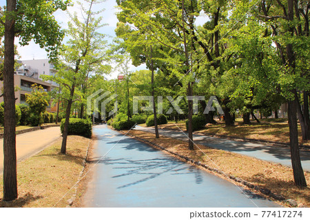 Onogawa Ryokuin Road / 4-chome, Himejima, Nishiyodogawa-ku, Osaka-shi, Osaka 77417274