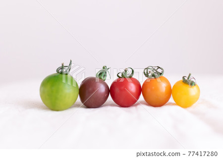 5 colorful colorful cherry tomatoes 5 colorful colorful cherry tomatoes 77417280