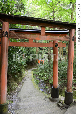 伏見稻荷大社稻荷山 Kiyotaki Okami (Kiyotaki) 伏見稻荷大社稻荷山 Kiyotaki Okami (Kiyotaki) 77417394