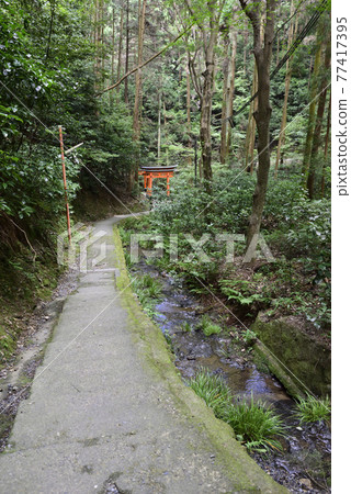 伏見稻荷大社稻荷山 Kiyotaki Okami (Kiyotaki) 77417395