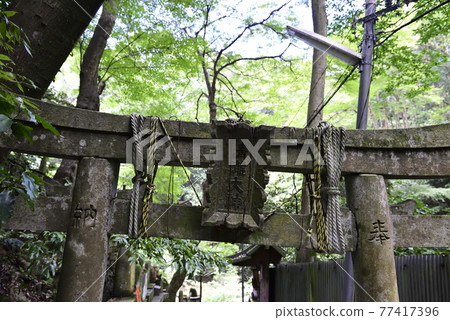 伏見稻荷大社稻荷山 Kiyotaki Okami (Kiyotaki) 77417396