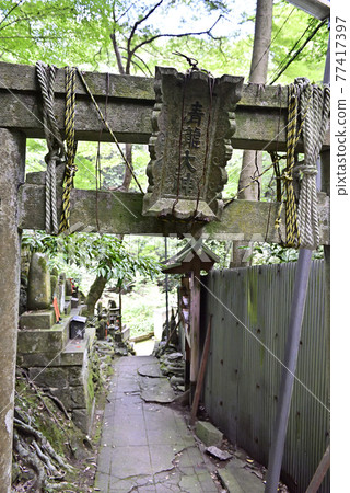 伏見稻荷大社稻荷山 Kiyotaki Okami (Kiyotaki) 77417397