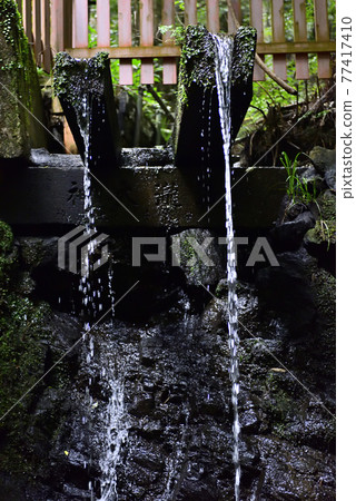 Fushimi Inari Taisha Shrine Inariyama Kiyotaki Okami (Kiyotaki) Fushimi Inari Taisha Shrine Inariyama Kiyotaki Okami (Kiyotaki) 77417410