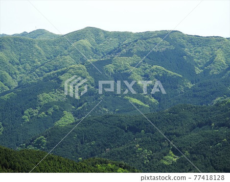春山 77418128