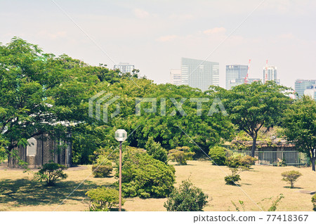 Yokohama Nogeyama Park Yokohama Nogeyama Park 77418367
