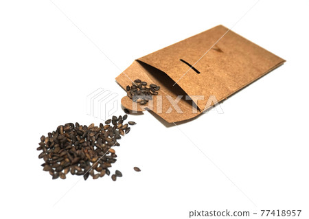 紙袋和黑色種子 紙袋和黑色種子 77418957