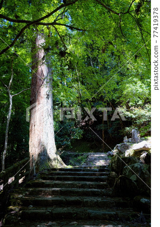 奈良奧山車道,一條通往原始森林中的雨鬼瀧的黑暗道路 奈良奧山車道,一條通往原始森林中的雨鬼瀧的黑暗道路 77419378