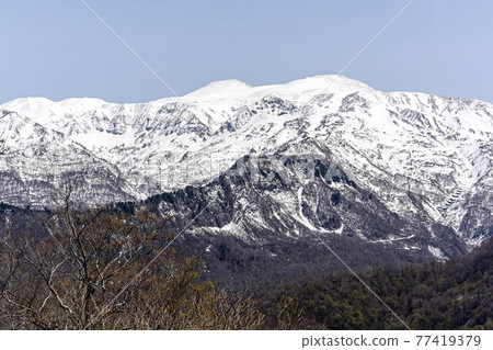 從岩屋又谷庭園遠眺白山 77419379
