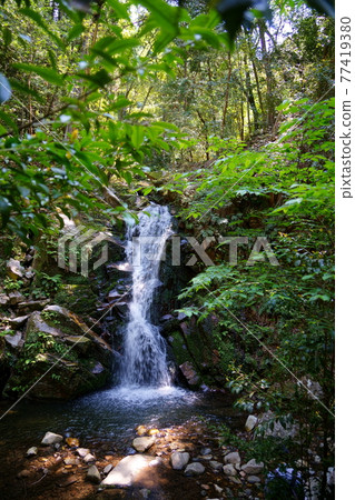 奈良奧山車道，原始森林中的Uguisuno-taki 3 77419380