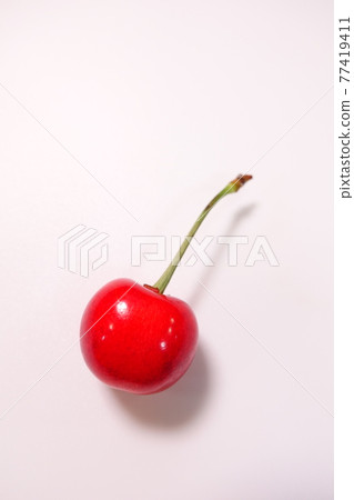 櫻桃櫻桃 櫻桃櫻桃 77419411