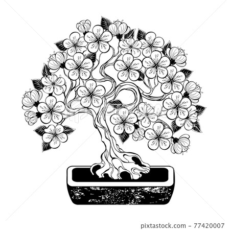 Contour bonsai cherry 77420007