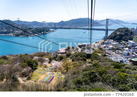 View of Turkish Tulip Garden and Kanmon Strait from Hinoyama Park, Shimonoseki City, Yamaguchi Prefecture 77420168
