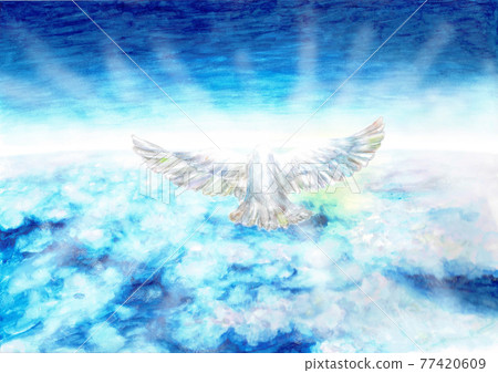 Sea of clouds bird light Sea of clouds bird light 77420609