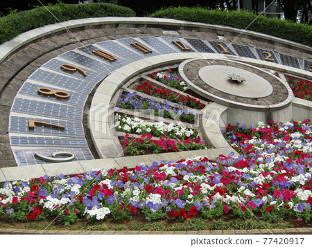 Sundial flowerbed petinian flowers 77420917