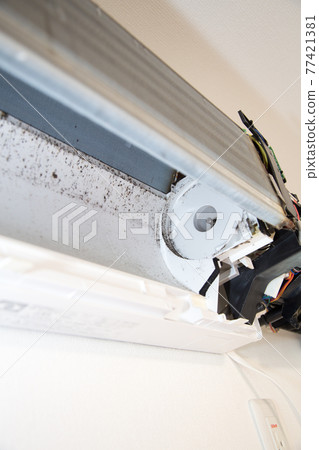 Dirt inside the disassembled air conditioner Mold Dust Dirt inside the disassembled air conditioner Mold Dust 77421381