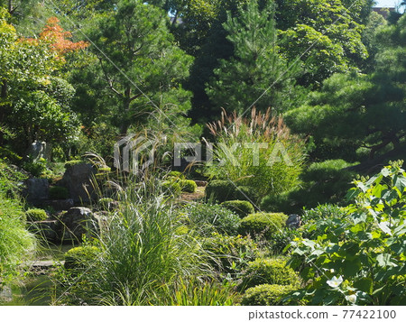 夏末的京都東神院景色 夏末的京都東神院景色 77422100