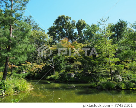 夏末的京都東神院景色 夏末的京都東神院景色 77422101