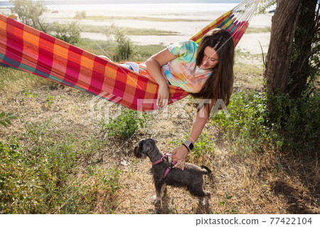 girl in nature, lies in a hammock and holds a gray miniature schnauzer dog, lifestyle girl in nature, lies in a hammock and holds a gray miniature schnauzer dog, lifestyle 77422104