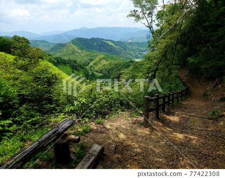 View the mountains on the Ehime prefecture side from Matsuo Pass on the prefectural border between Kochi and Ehime prefectures [June] 77422308
