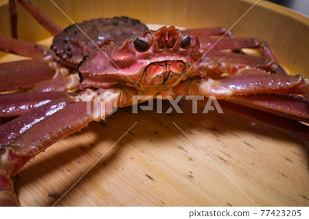 Winter taste snow crab I ate in Kanazawa 77423205