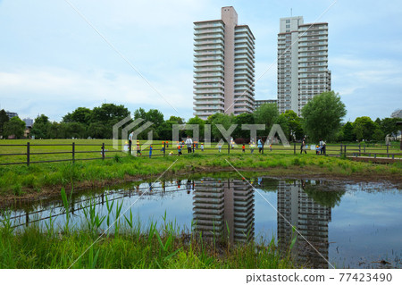 照耀小城原公園池塘和水面的風景 77423490