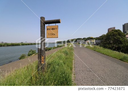 Bank along the Edo River Bank along the Edo River 77423871