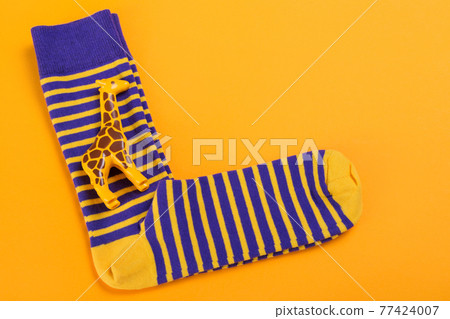 pair of striped socks and a toy giraffe, on a yellow background, concept pair of striped socks and a toy giraffe, on a yellow background, concept 77424007