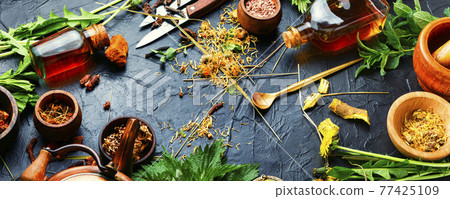 Healing herbs and roots in natural herbal medicine Healing herbs and roots in natural herbal medicine 77425109