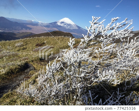富士山霧凇 77425316