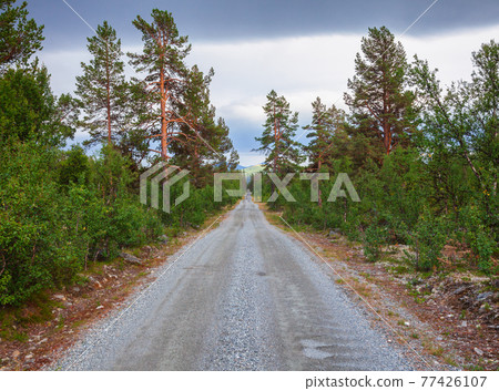 Scenic gravel road in Oppland Norway Scandinavia Scenic gravel road in Oppland Norway Scandinavia 77426107
