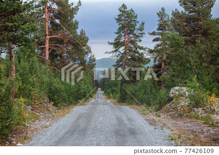 Scenic gravel road in Oppland Norway Scandinavia Scenic gravel road in Oppland Norway Scandinavia 77426109