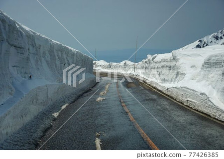Spring Tateyama Kogen Road Spring Tateyama Kogen Road 77426385