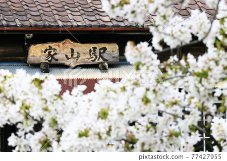 春天家山站（大井川鐵道） 77427955