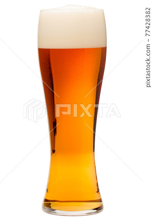 Tall pilsner glass of beer with head isolated on white 77428382