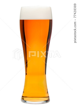 Tall pilsner glass of beer with head isolated on white Tall pilsner glass of beer with head isolated on white 77428389