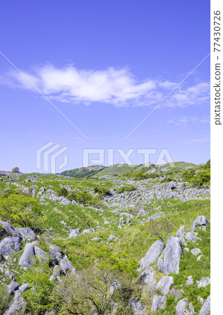 平尾台美景（福岡縣北九州市） 77430726