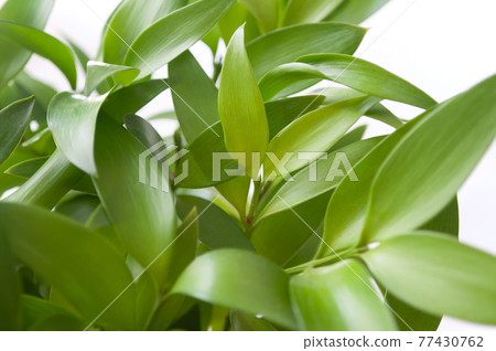 Icon auto alignment background wallpaper Icon auto alignment background wallpaper 77430762