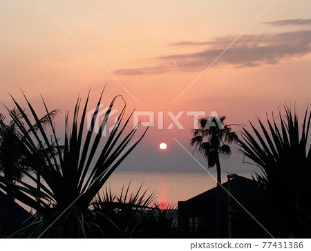 Sunset in the southern country Sunset in the southern country 77431386