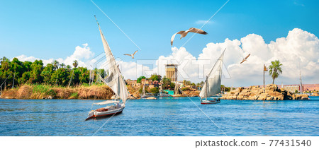 Sailing on Nile 77431540