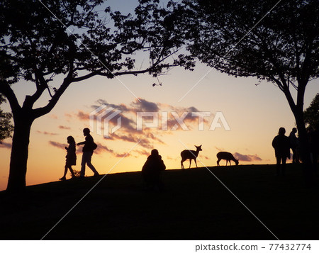 奈良若草山天文台的夜景和剪影 奈良若草山天文台的夜景和剪影 77432774