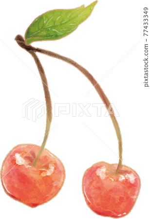 Twin cherries with leaves 77433349