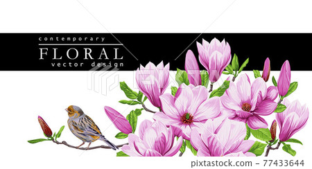Spring greeting card with magnolia flowers Spring greeting card with magnolia flowers 77433644