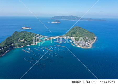 Kashiwajima Oogetsucho Kochi Prefecture 77433973