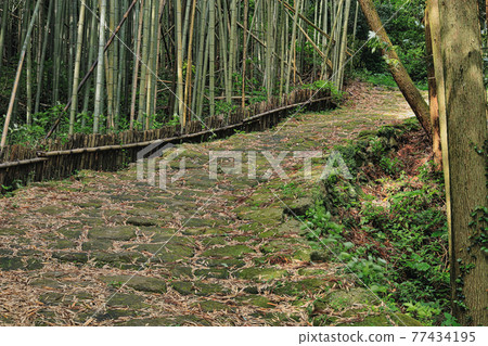 100 selections of historical roads! Tatsumonjizaka 77434195