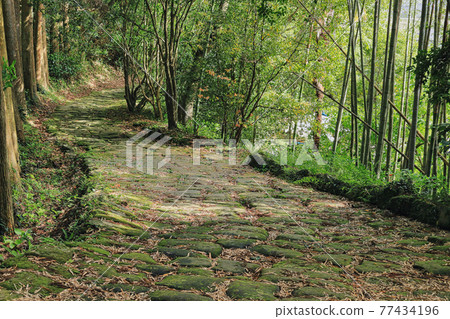 100 selections of historical roads! Tatsumonjizaka 77434196