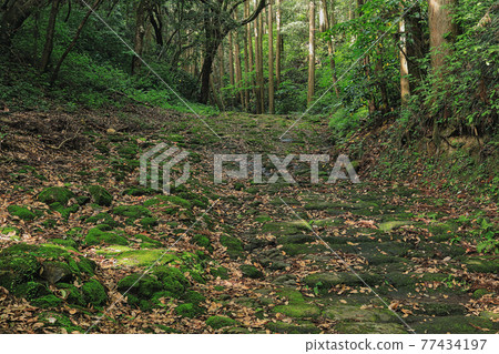 100條歷史道路的選擇！龍紋坂 77434197