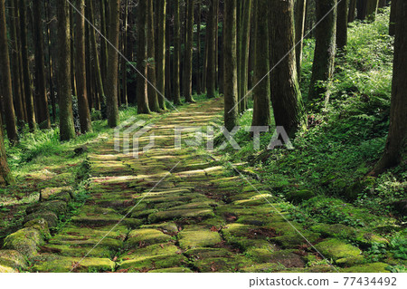 100 selections of historical roads! Tatsumonjizaka 77434492