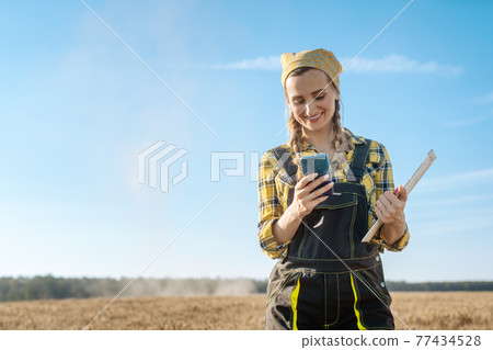 Farmer using her phone on a grain field Farmer using her phone on a grain field 77434528